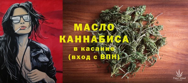тгк Дмитровск