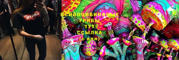 дживик Баксан