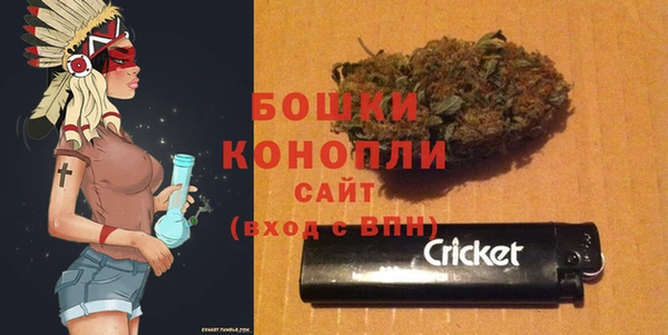 дживик Баксан